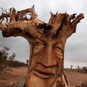 Meet your Posher, Joyal